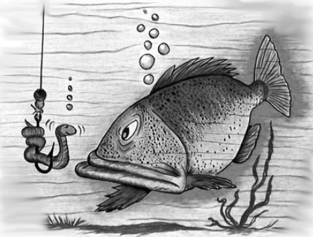 Fish staring at a worm on a hook